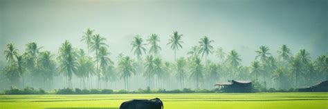 Exploring the Charm of Rural Areas In The Philippines.